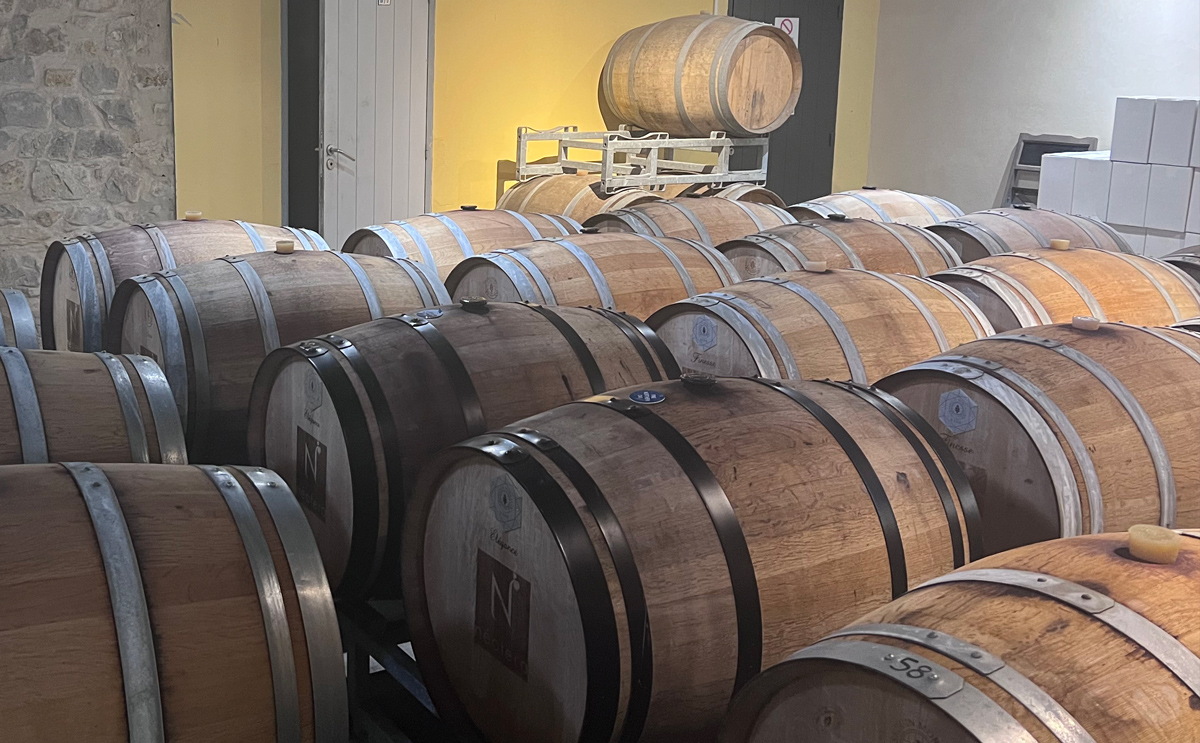 assemblage pour la cuvée l’Eclat, l’Excellence du Quatourze