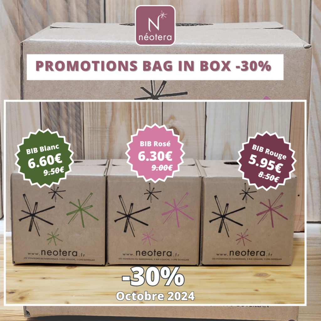 Promotion Bag-In-Box